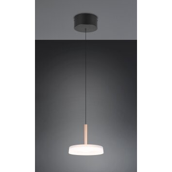 Celeste Suspension Luminaires Trio LED Brun, 1 lumière