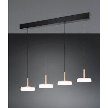 Celeste Suspension Luminaires Trio LED Brun, 1 lumière