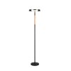 Celeste Lampadaire Luminaires Trio LED Brun, 1 lumière