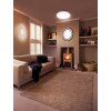 Surface Applique murale / Plafonnier Luminaires Ledvance Blanc, 1 lumière