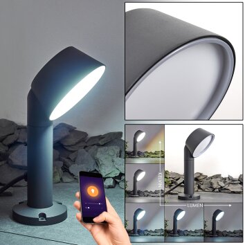 Borne lumineuse Moroni LED Anthracite, 1 lumière