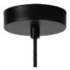 HANNELORE Suspension Luminaires Lucide Noir, 1 lumière