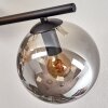 Gastor Plafonnier, Boule lumineuse Ambre, Fumé, 4 lumières