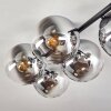 Gastor Plafonnier, Boule lumineuse Chrome, Clair, Fumé, 5 lumières