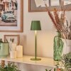 Allen Lampe de table d'extérieur, Lampe à poser LED Vert, 1 lumière