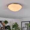 Banan Plafonnier, Spot de plafond Nickel mat, 2 lumières