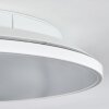 Norea Plafonnier, Spot de plafond LED Blanc, 1 lumière