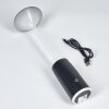 Eryon Lampe de bureau, Lampe à poser LED Noir, Blanc, 1 lumière