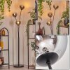 Gastor Boule lumineuse, Lampadaire Chrome, Clair, Fumé, 3 lumières