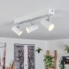 Gesteira Plafonnier, Spot de plafond Blanc, 3 lumières