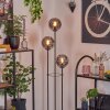 Gastor Lampadaire 30 cm Bois foncé, Noir, 3 lumières