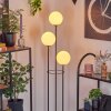 Gastor Lampadaire 30 cm Bois foncé, Noir, 3 lumières