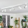 Gesteira Plafonnier, Spot de plafond Chrome, Blanc, 6 lumières