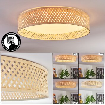 Barroco Plafonnier LED Écru, 1 lumière