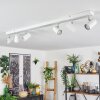 Gesteira Plafonnier, Spot de plafond Chrome, 6 lumières