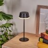 Romdrup Lampe de table d'extérieur, Lampe à poser LED Noir, 1 lumière