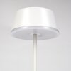 Romdrup Lampe de table d'extérieur LED Blanc, 1 lumière