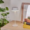 Romdrup Lampe de table d'extérieur LED Blanc, 1 lumière