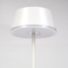 Romdrup Lampe de table d'extérieur, Lampe à poser LED Blanc, 1 lumière