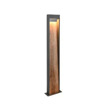 SALMON Lampadaire d\'extérieur Luminaires Trio LED Bois clair, 1 lumière