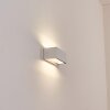 Lanor Lampe murale d´extérieur, Luminaire Up & Down, Applique murale LED Blanc, 1 lumière