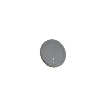 FORTALEZA Applique murale Luminaires Reality LED Anthracite, 1 lumière, Détecteur de mouvement