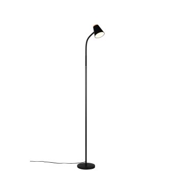 Pongo Lampadaire Luminaires Reality LED Noir, 1 lumière