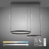 Esko Suspension Luminaires Paul Neuhaus LED Noir, 2 lumières, Télécommandes