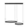 Esko Suspension Luminaires Paul Neuhaus LED Noir, 2 lumières, Télécommandes