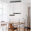 Esko Suspension Luminaires Paul Neuhaus LED Noir, 2 lumières, Télécommandes