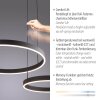 Esko Suspension Luminaires Paul Neuhaus LED Noir, 2 lumières, Télécommandes