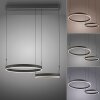 Esko Suspension Luminaires Paul Neuhaus LED Noir, 2 lumières, Télécommandes