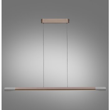 Hoop Suspension Luminaires Paul Neuhaus LED Brun, Argenté, 1 lumière