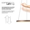 Hoop Suspension Luminaires Paul Neuhaus LED Brun, 1 lumière