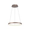 Hoop Suspension Luminaires Paul Neuhaus LED Brun, 1 lumière