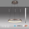 Hoop Suspension Luminaires Paul Neuhaus LED Brun, 1 lumière