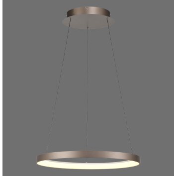 Hoop Suspension Luminaires Paul Neuhaus LED Brun, 1 lumière