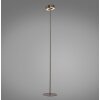 Q-Rotate Lampadaire Luminaires Paul Neuhaus LED Brun, 1 lumière, Télécommandes