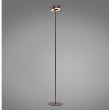 Q-Rotate Lampadaire Luminaires Paul Neuhaus LED Brun, 1 lumière, Télécommandes