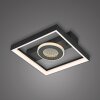 Traforo Plafonnier Luminaires Paul Neuhaus LED Noir, 1 lumière, Télécommandes