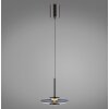 Vitrum Suspension Luminaires Paul Neuhaus LED Gris, 2 lumières