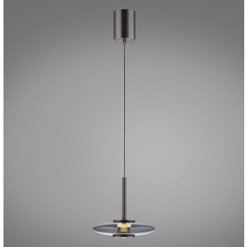 Vitrum Suspension Luminaires Paul Neuhaus LED Gris, 2 lumières