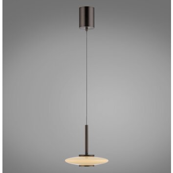 Vitrum Suspension Luminaires Paul Neuhaus LED Brun, 2 lumières