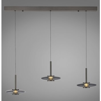 Vitrum Suspension Luminaires Paul Neuhaus LED Gris, 6 lumières