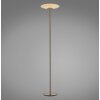 Vitrum Lampadaire Luminaires Paul Neuhaus LED Brun, 2 lumières