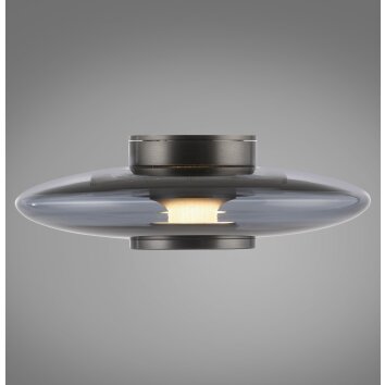 Vitrum Applique murale / Plafonnier Luminaires Paul Neuhaus LED Gris, 1 lumière