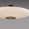 Vitrum Plafonnier Luminaires Paul Neuhaus LED Brun, 2 lumières