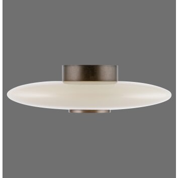 Vitrum Plafonnier Luminaires Paul Neuhaus LED Brun, 2 lumières