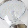 Applique murale d'extérieur CORDOVA LED Acier inoxydable, 1 lumière