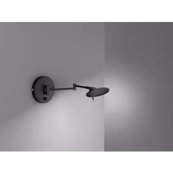 Applique murale Trio KAZAN LED Noir, 1 lumière